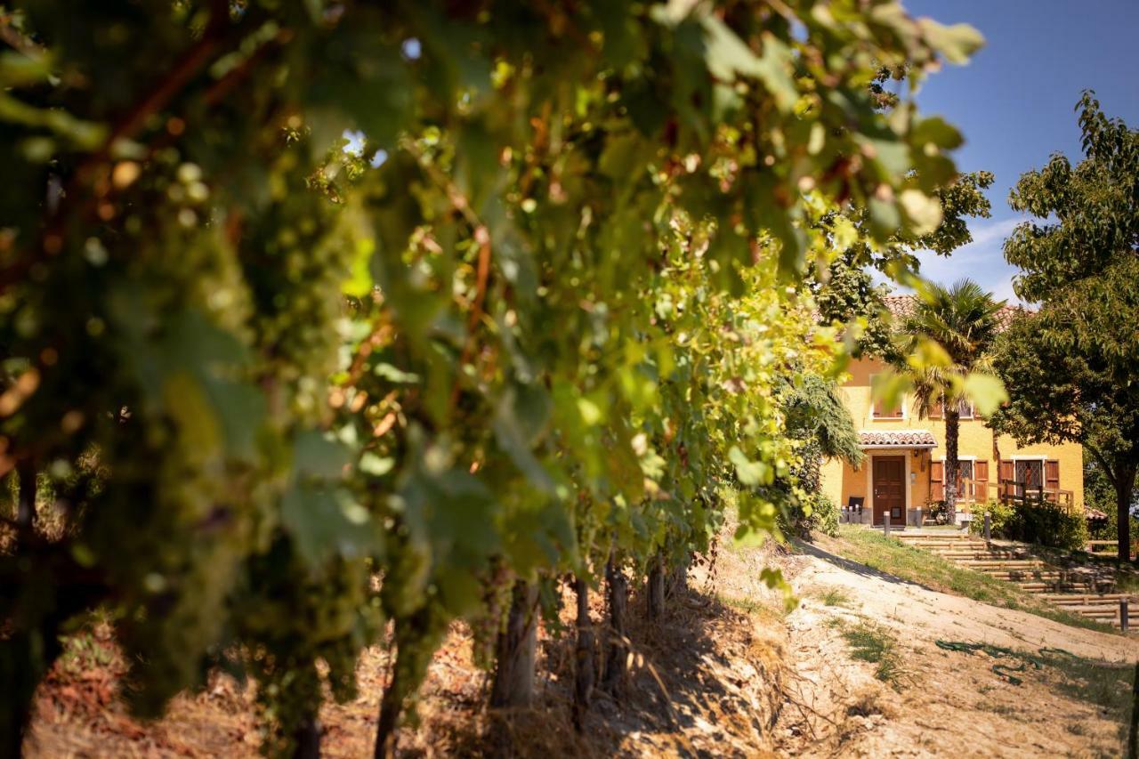 Villa Vinory - Tenuta Il Sogno San Marzano Oliveto Zewnętrze zdjęcie